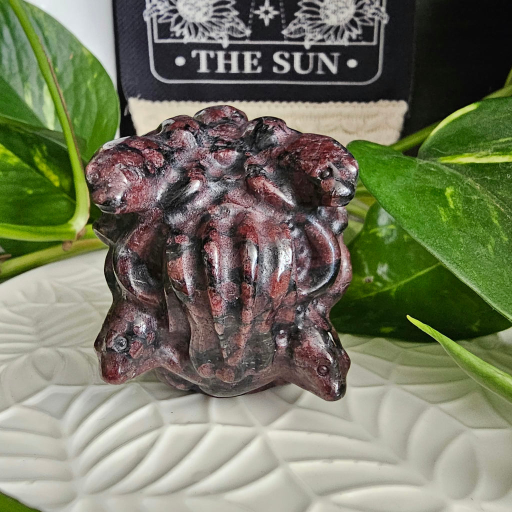 Garnet Medusa Head Carving