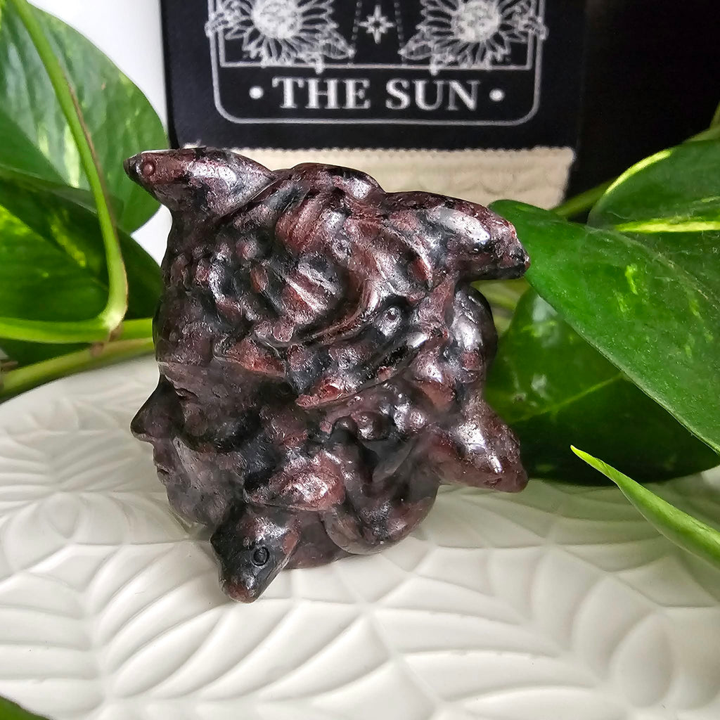 Garnet Medusa Head Carving