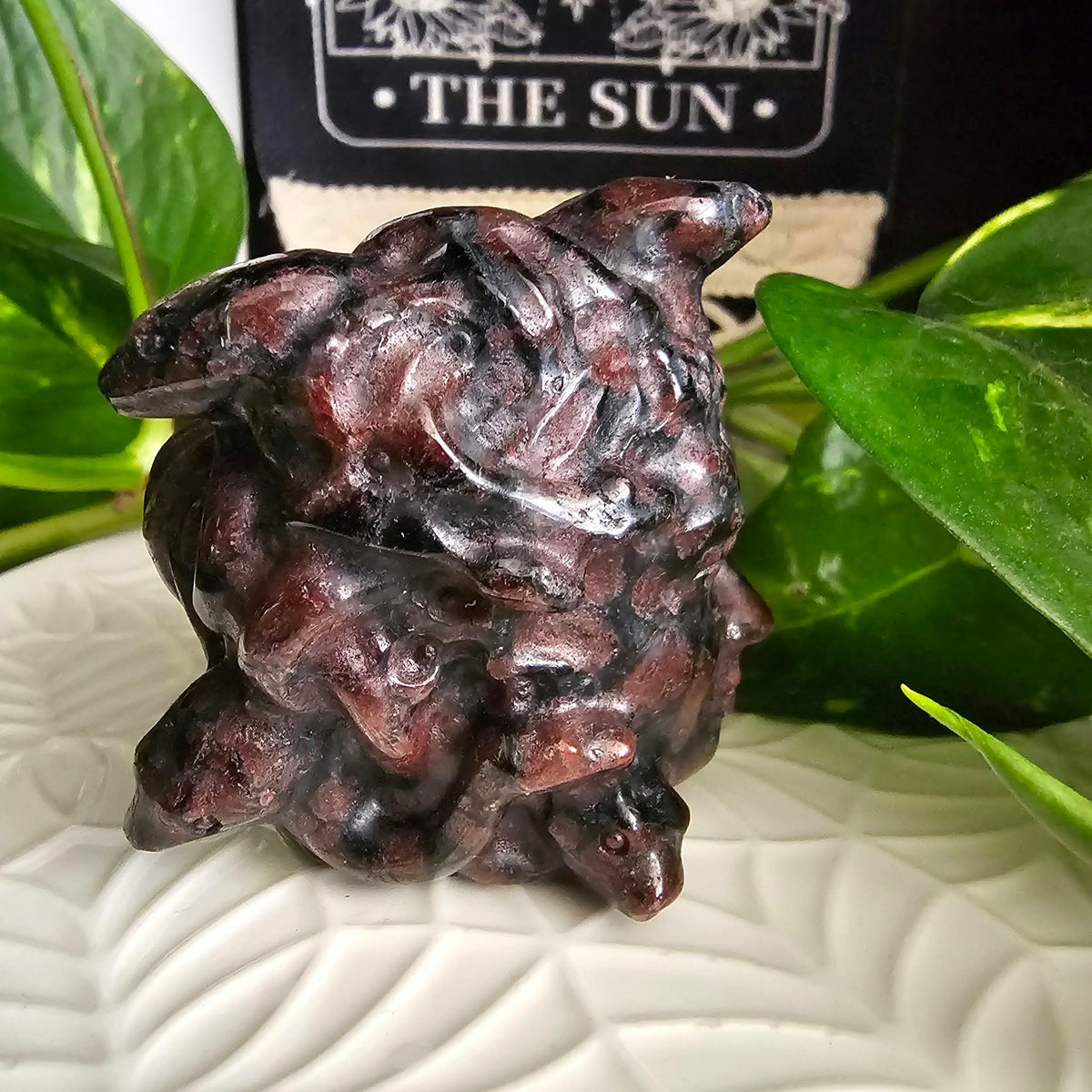 Garnet Medusa Head Carving