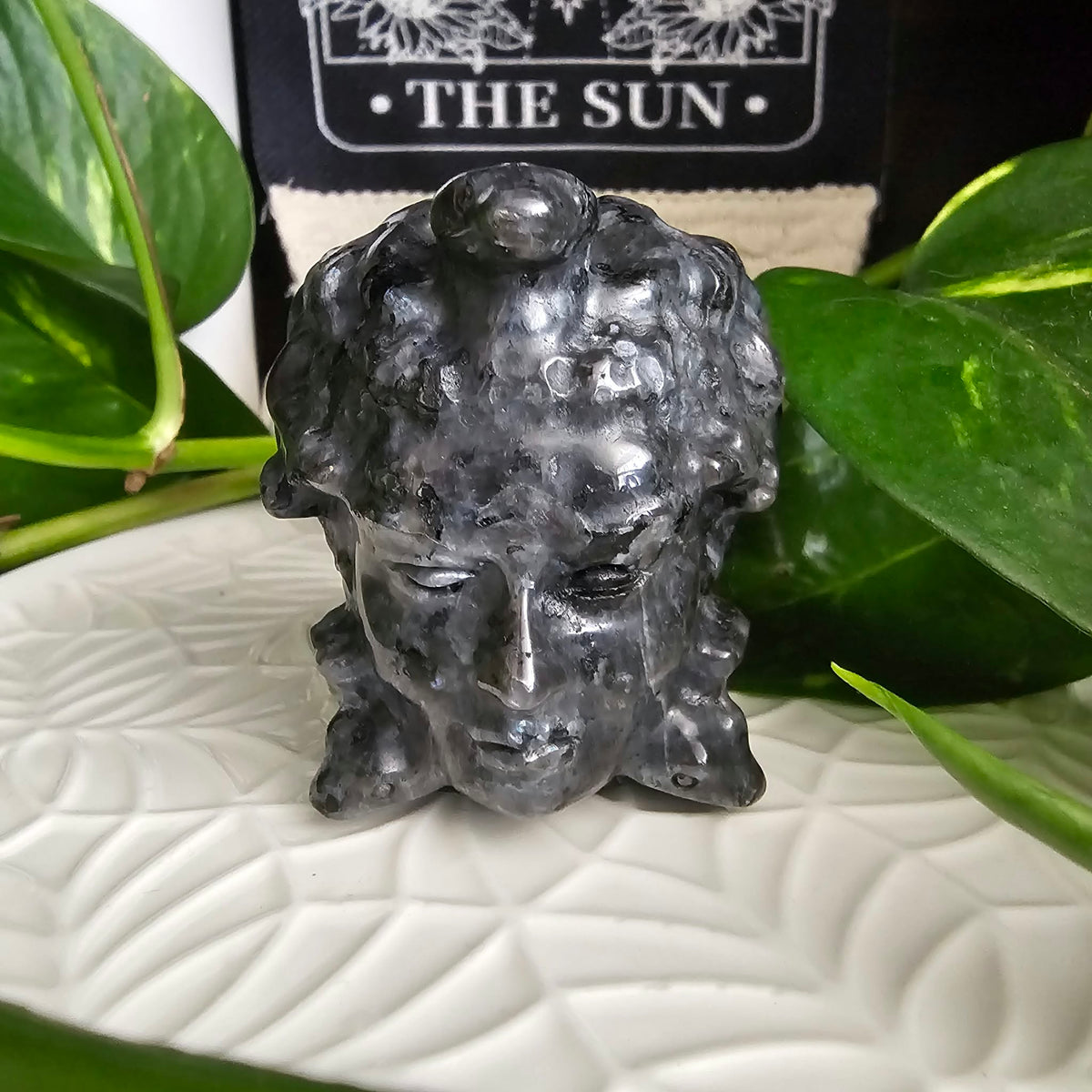 Larvikite Medusa Head Carving