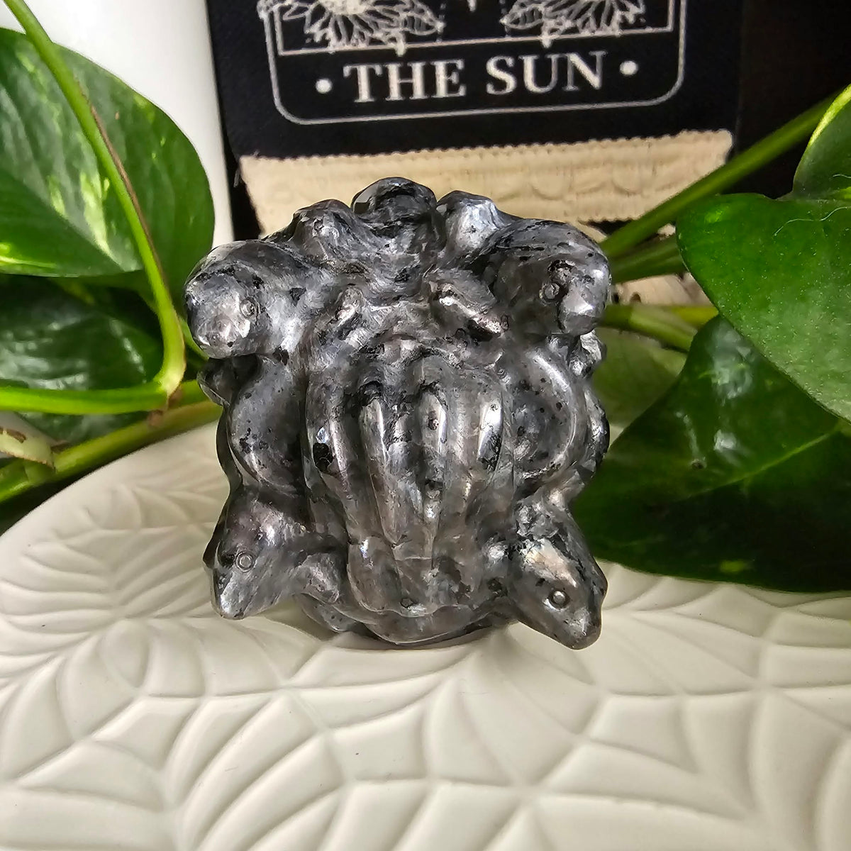 Larvikite Medusa Head Carving