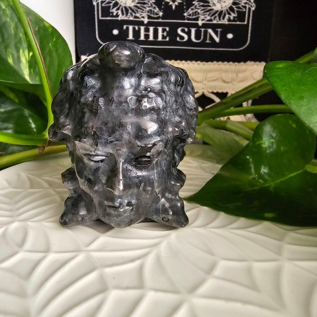 Larvikite Medusa Head Carving
