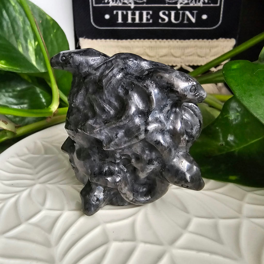 Larvikite Medusa Head Carving