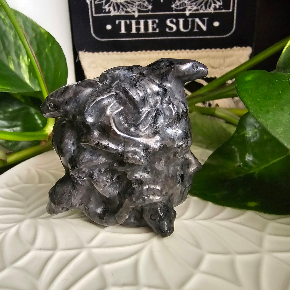 Larvikite Medusa Head Carving