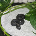 Silver Sheen Obsidian Snake Carving