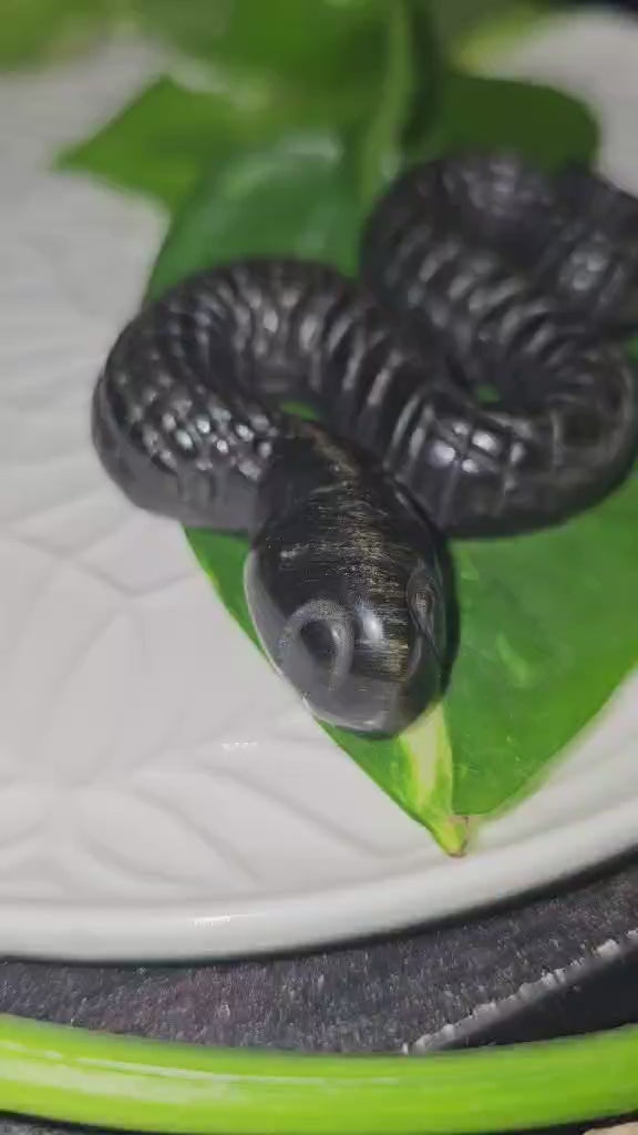 Gold Sheen Obsidian Snake Carving